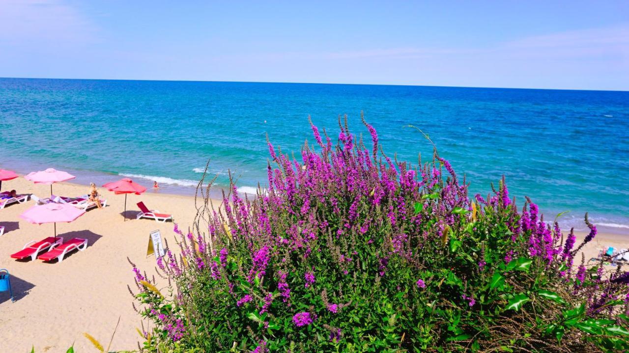 Byala Vista Beach Apartments D - Бяла Виста Бийч Апартментс Д Eksteriør bilde